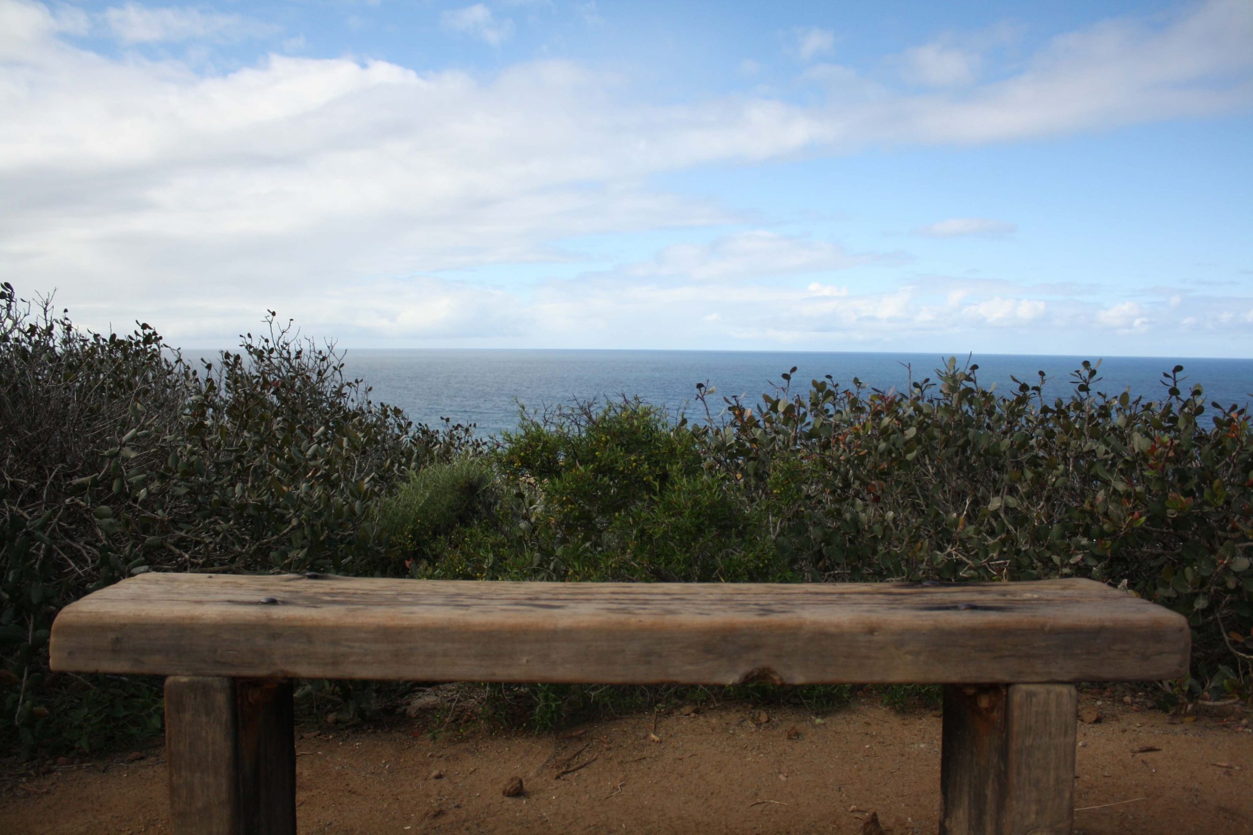 empty bench overlooking beach